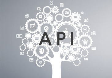 API 연동 서비스